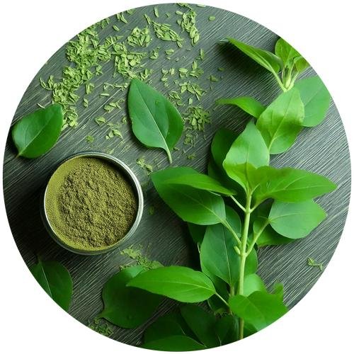 Natural ingredients associated with the advertised Gluco6 formula