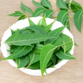 Neem Pineal Guardian X