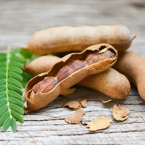 Tamarind extract Pineal Guardian X