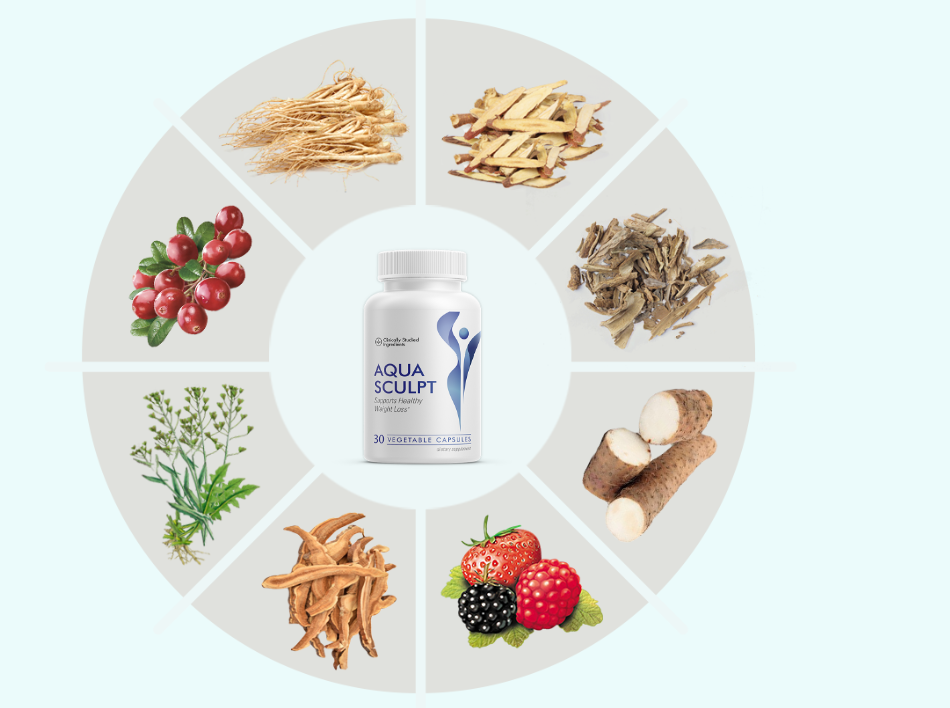 AquaSculpt ingredient presentation