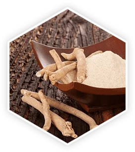 Ashwagandha safety and side effect considerations