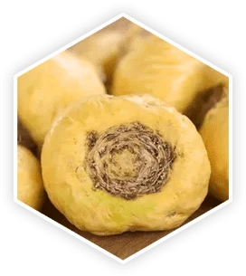 Maca root extract safety analysis