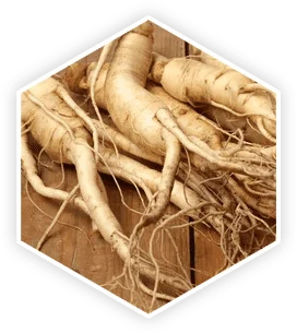 Panax ginseng side effects and safety
