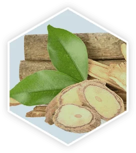 Tongkat Ali extract safety analysis